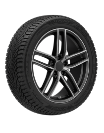 Sentury 205/55R19 97H XL WinterDragon