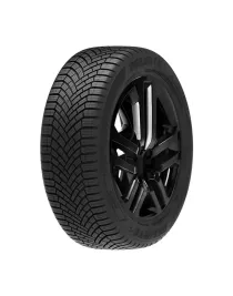 Delinte 205/55R17 95V XL AW7