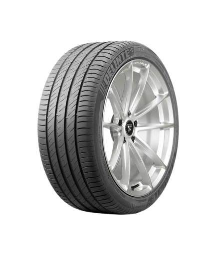 Delinte 205/50R17 93W XL DS2